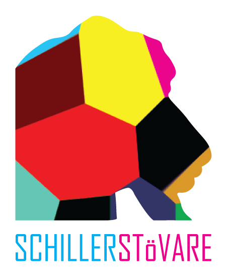 Schillerstovare Financial Group Inc